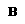 Grassetto